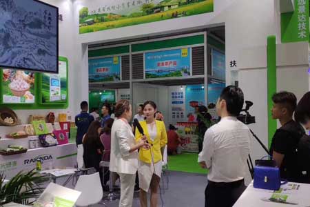 金年会|金年会·jinnian(金字招牌)诚信至上